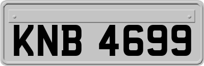 KNB4699