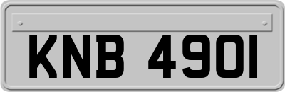 KNB4901