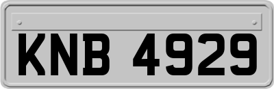 KNB4929