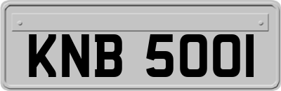 KNB5001