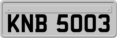 KNB5003