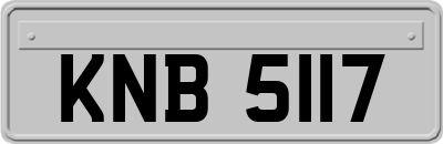 KNB5117