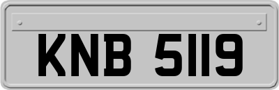 KNB5119