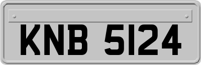 KNB5124