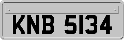 KNB5134