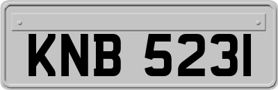 KNB5231