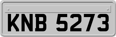 KNB5273