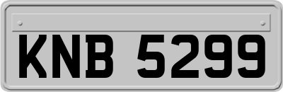 KNB5299