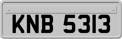 KNB5313