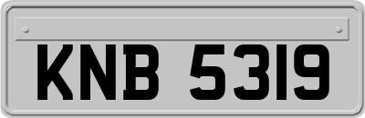 KNB5319