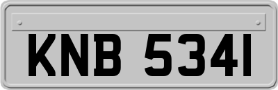 KNB5341