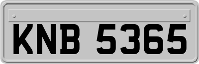 KNB5365