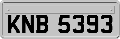 KNB5393