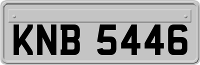 KNB5446