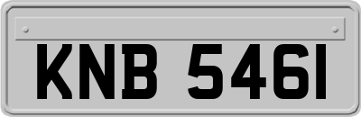 KNB5461