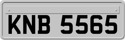 KNB5565