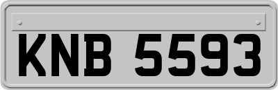 KNB5593