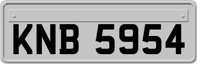 KNB5954