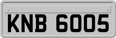 KNB6005