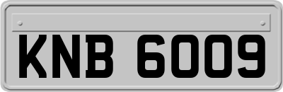 KNB6009