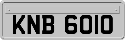 KNB6010