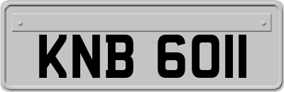 KNB6011