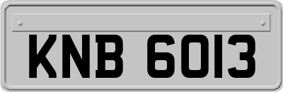 KNB6013