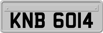 KNB6014