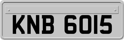 KNB6015