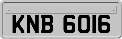 KNB6016