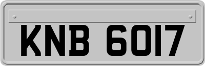 KNB6017