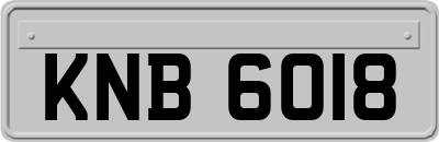 KNB6018