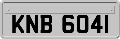 KNB6041