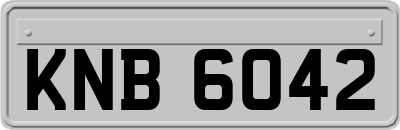 KNB6042