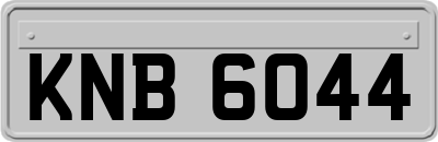 KNB6044