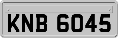 KNB6045