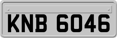 KNB6046