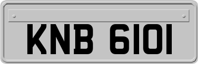 KNB6101