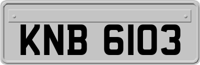 KNB6103