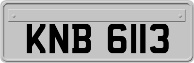 KNB6113