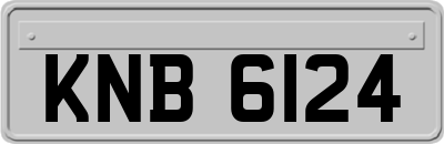 KNB6124