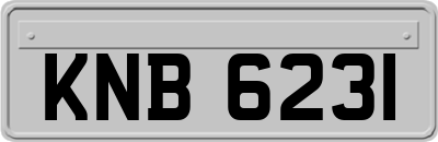 KNB6231