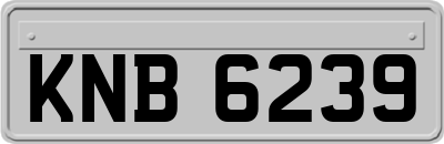 KNB6239