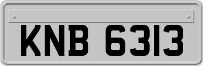 KNB6313