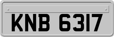 KNB6317