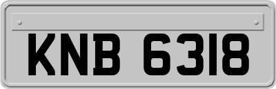 KNB6318