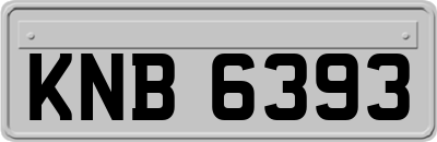 KNB6393