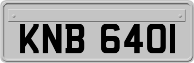 KNB6401