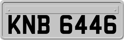 KNB6446