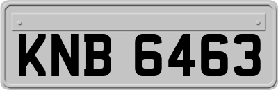 KNB6463